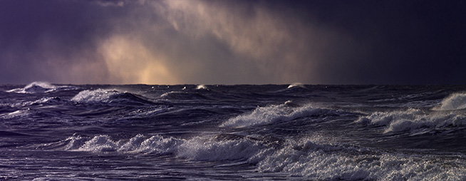 Crisis Management Sm CTA 654X254