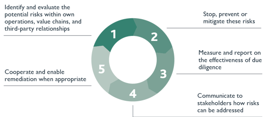 1. Identify and evaluate the potential risks within own operations, value chains, and third-party relationships. 2. Stop, prevent or mitigate these risks 3. Measure and report on the effectiveness of due diligence. 4. Communicate to stakeholders how risks can be addressed. 5. Cooperate and enable remediation when appropriate.